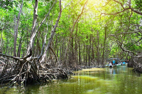 From Merida: Celestún biosphere, boat ride, and Beach day Celestún biosphere, boat ride, mangroves and beach day