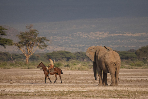 Ochtendrit te paard bij Dolly Estate: Wilde dieren &amp; prachtig uitzicht