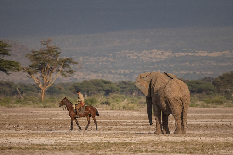 Ochtendrit te paard bij Dolly Estate: Wilde dieren &amp; prachtig uitzicht