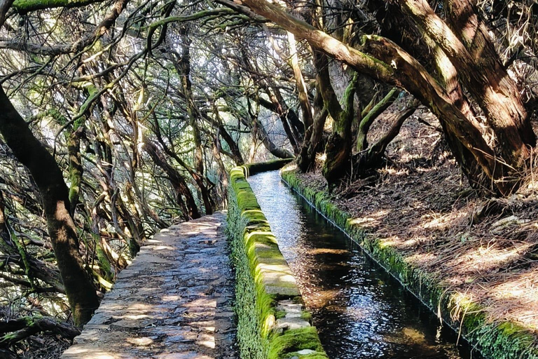 Madeira: 25 Fontes & Risco Guided Hike Rabaçal