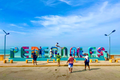 4-Day Full VIP Package: Saona Island + City Tours + Bahia de las Aguilas From Santo Domingo 4 Days Saona Island + City Tours + Bahia de las Aguilas