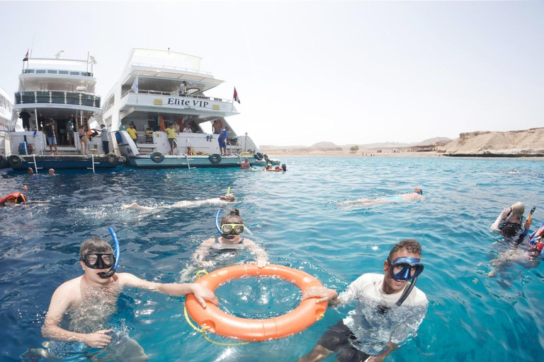 From Sharm: Half day Snorkeling Trip with Lunch Half day Red Sea cruise With Entry fees and transfers