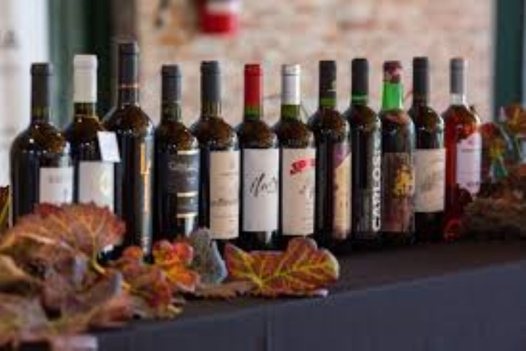 Degustación exprés de vinos y quesos uruguayosDegustación de vinos y quesos uruguayos - 3 copas