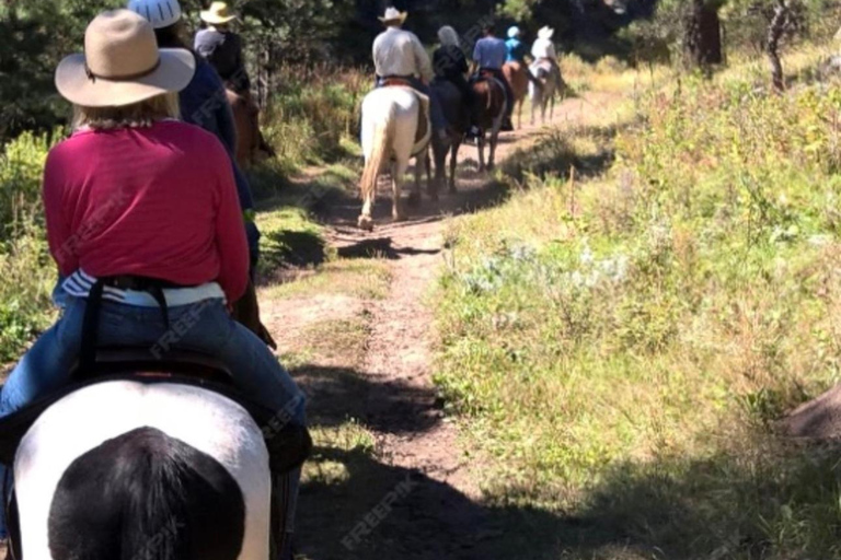 San José: Horseback Riding in Scenic Cloud Forest