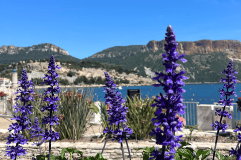 From medieval Evenos to Bandol wines : a taste of Provence Evenos - Bandol - La Ciotat - Cassis : PUBLIC