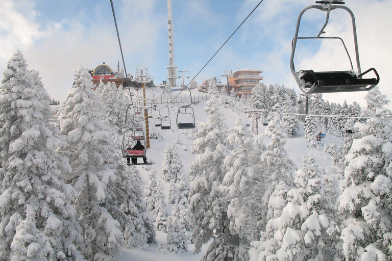 From Istanbul: Bursa and Uludag Bus Tour with Cable Car