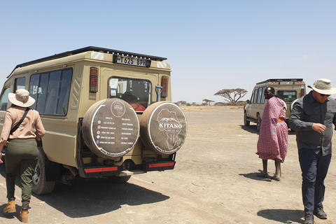 Tanzania: Safari di lusso di 6 giorni a Serengeti e Ngorongoro