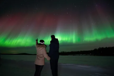 Rovaniemi: Garanteret Aurora-jagttur med fotos