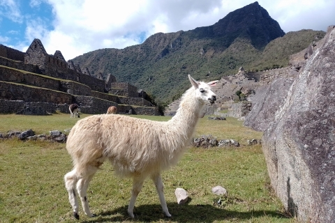 Caminata corta por el Camino Inca, Valle Sagrado, con la Montaña Arco Iris