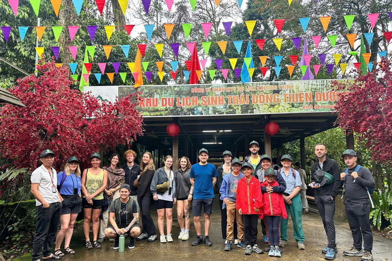 Phong Nha: Zipline Dark Cave & Paradise Cave Exploration Option 4: Full Adventure Experience - Drop-off in Hue