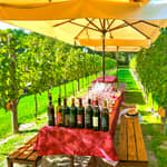 San Gimignano: tour di una cantina toscana, vino e cena tradizionale