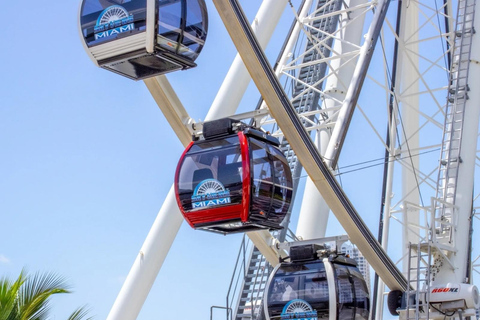 Passin Miami: 30+ Attractions, eSIM & 1-Way Airport Transfer 3 Day Passin
