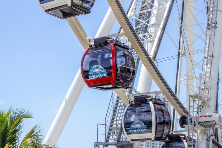 Passin Miami: 30+ Attractions, eSIM & 1-Way Airport Transfer 3 Day Passin