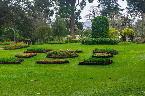 Golden Hills: Colmbo to Kandy Full-Day Tour