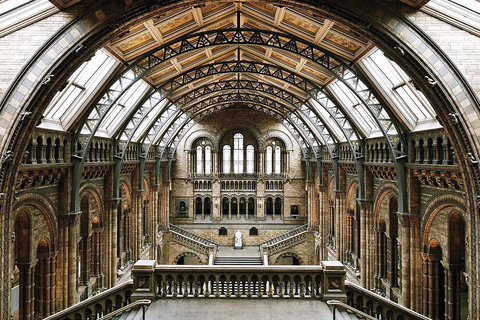 Naturhistoriska museet: Diplodocus, vulkaner, valar och ädelstenar