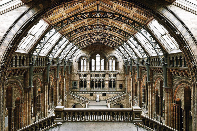 Naturhistoriska museet: Diplodocus, vulkaner, valar och ädelstenar