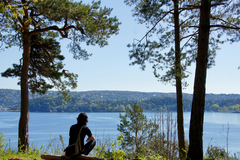 Oslo: Island Hopping with Optional Lunch