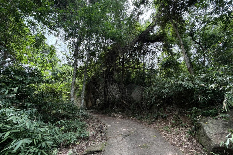 From Colombo: Gampaha District Temples & Jungle Hike Tour