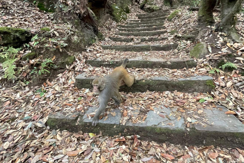 Day Hike in Kathmandu