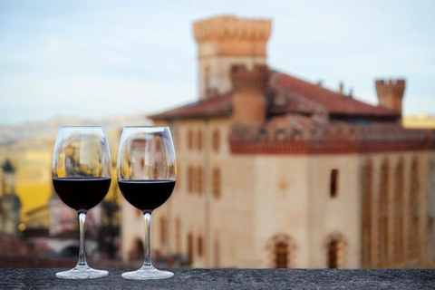 Milan: Barolo Vineyards & UNESCO Wine Cathedral Experience