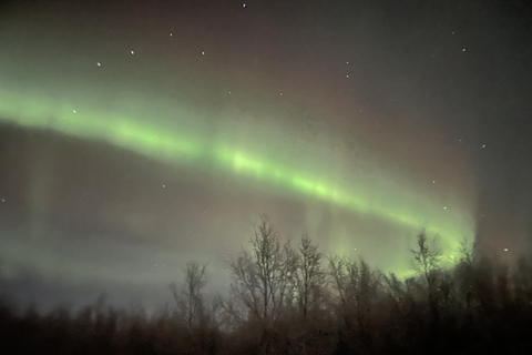 Noorderlicht minibustour naar Abisko Nationalpark