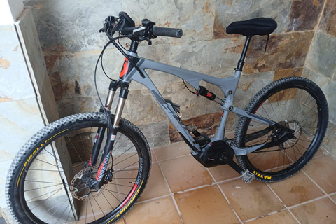 Maspalomas-fataga-ayagaures by e-bike through ravines