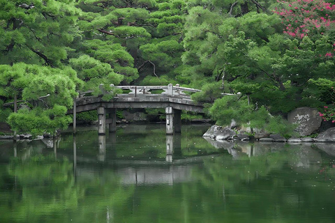 Kyoto Full-Day Customizable Group Tour with English Guide
