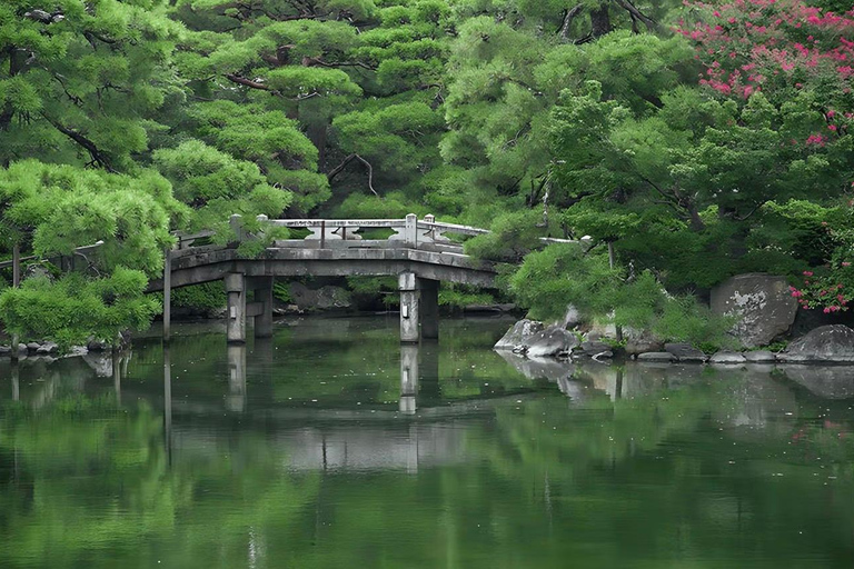 Kyoto Full-Day Customizable Group Tour with English Guide