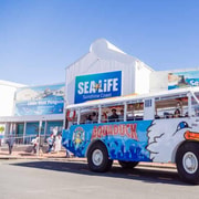 Sunshine Coast: 1-Hour Land and Water Tour