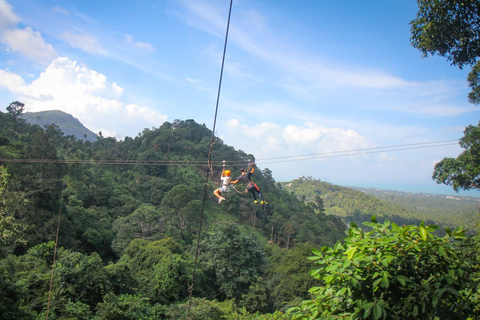From Koh Samui: Tree Bridge Zipline and Café Experience