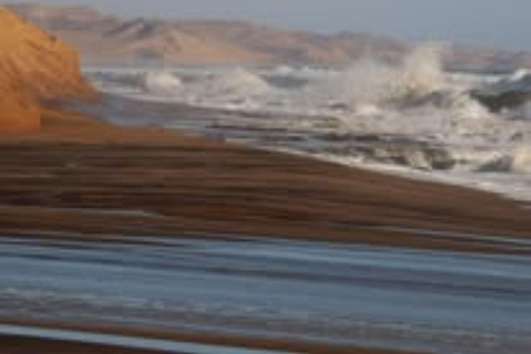 Walvis Bay: Sandwich Harbour & Catamaran Combo