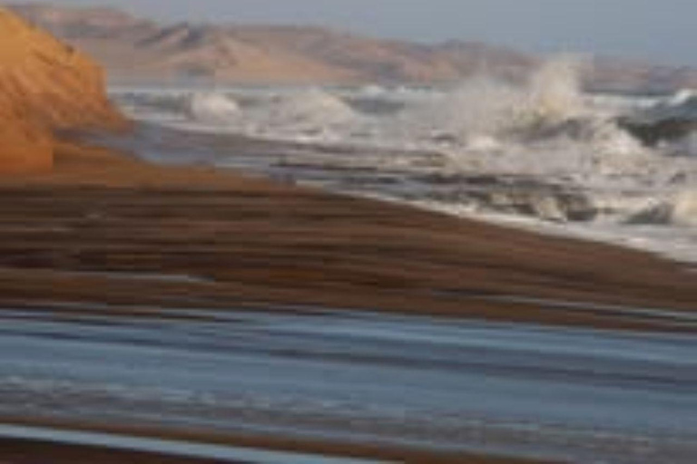 Walvis Bay: Sandwich Harbour & Catamaran Combo