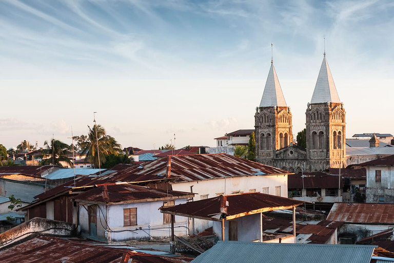 Visite de Stone Town, pause déjeuner bio, plongée avec masque et tuba à Mnemba