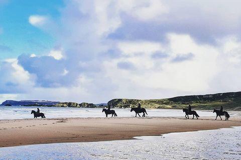 Tour guidato privato delle Antrim Glens e della Causeway Coast