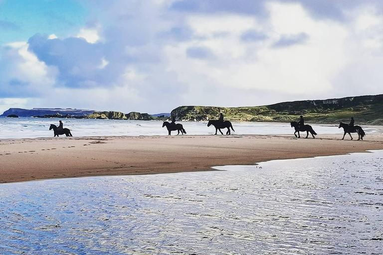 Tour guidato privato delle Antrim Glens e della Causeway Coast