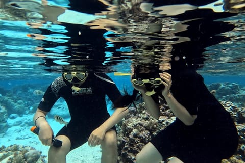 Taha’a : Récif Secret, Jardin de Corail et Tour Privé du Lagon