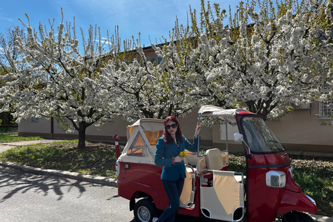 Bucareste: Tuk Tuk City TourBucareste: Passeio de Tuk Tuk pelo Comunismo