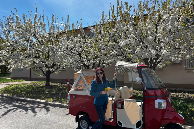 Bucharest: Tuk Tuk City Tour