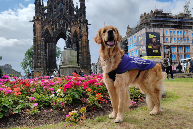 Tour a piedi di Edimburgo con narrazione fino al monumento a Scott