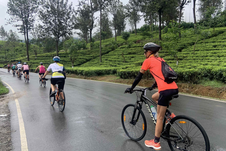 Sri Lanka 14-Day Small-Group Cycling Tour