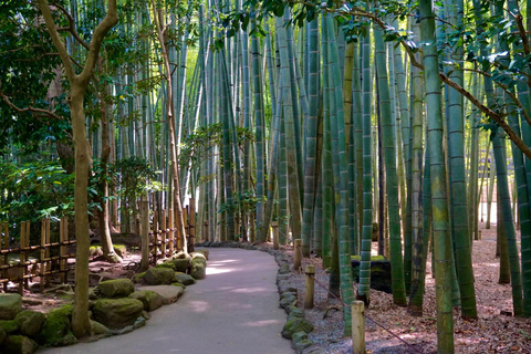 Sacred Kamakura & Yokohama Full-Day Tour with English Guide Kamakura & Yokohama Private Tour With Toyota Welfare Alphad