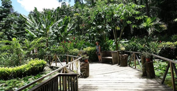 NADI-SABETO: Exquisite Orchid Garden with Hotspring Mudpool