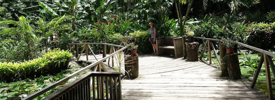 NADI : visite du jardin d'orchidées avec source chaude et bain de boue