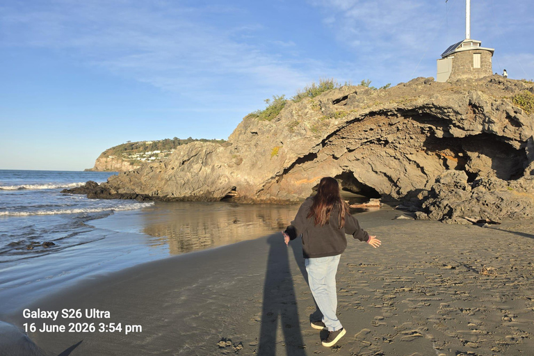 Christchurch: Scenic Day Tour with Hidden Gems of City