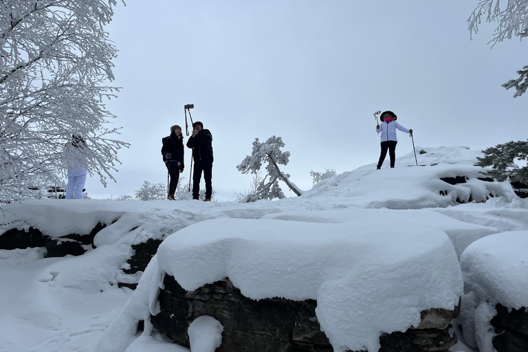 From Dresden: Winter Hike to Bohemian and Saxon Switzerland