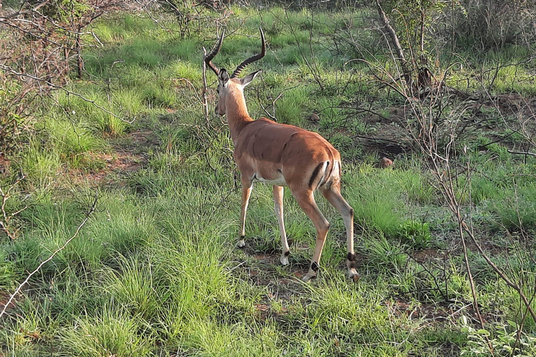 Kruger National Park Safari - 3 Day