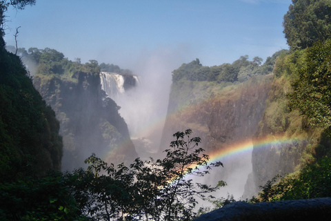 Guided Tour of the Victoria Falls