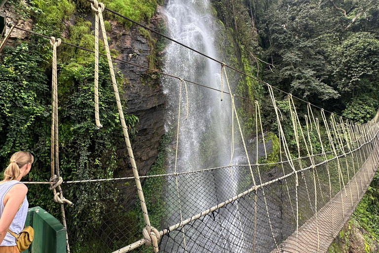 Ghana: 2-Day Monkey Sanctuary, Waterfall and Hiking Tour