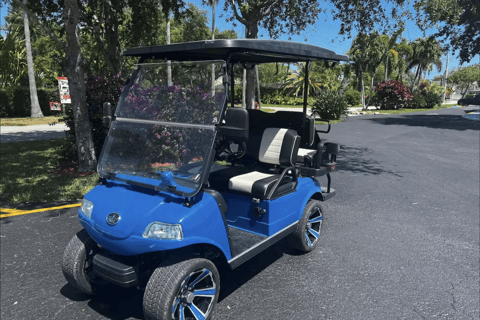 Fort Lauderdale: 4 People Golf Cart Rental 4 Hours Rental