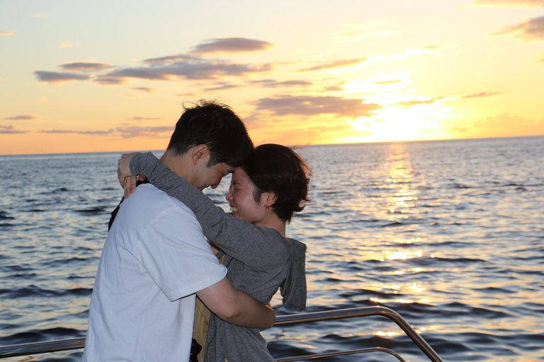 Luxury Sunset Cruise, Snorkeling, Dolphin Watch, & Buffet Oahu: Private Sunset Snorkel & Dolphin Watch with Dinner